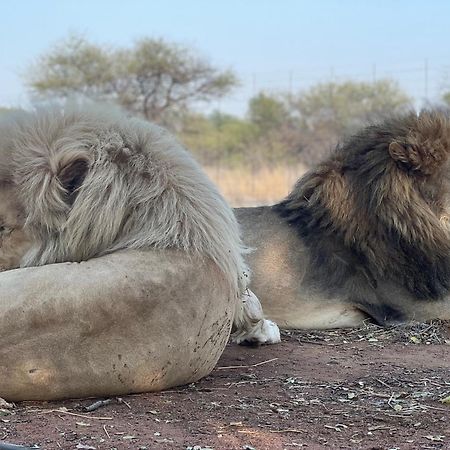 Simba Safaris African Pride Exotic Lodge Lephalale Dış mekan fotoğraf