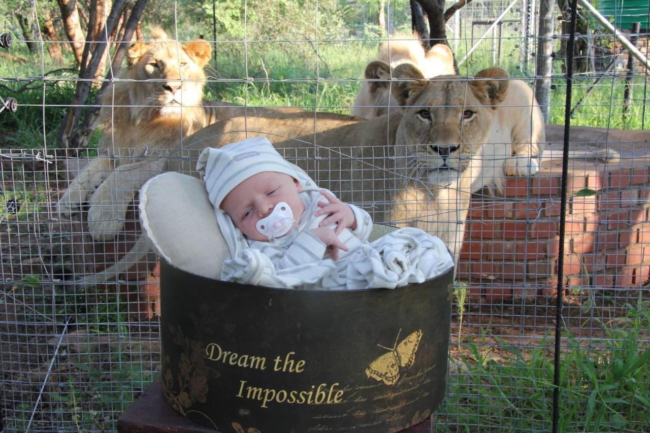 Simba Safaris African Pride Exotic Lodge Lephalale Dış mekan fotoğraf