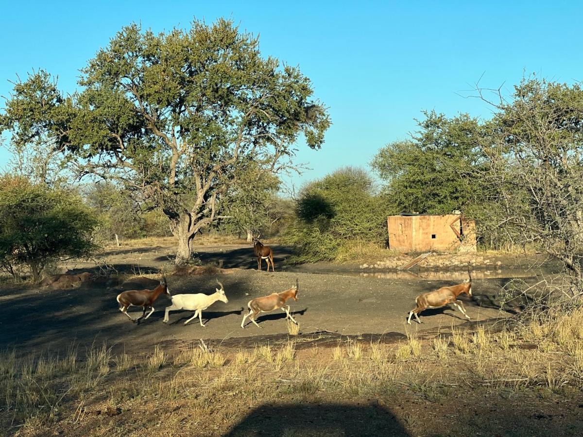 Simba Safaris African Pride Exotic Lodge Lephalale Dış mekan fotoğraf