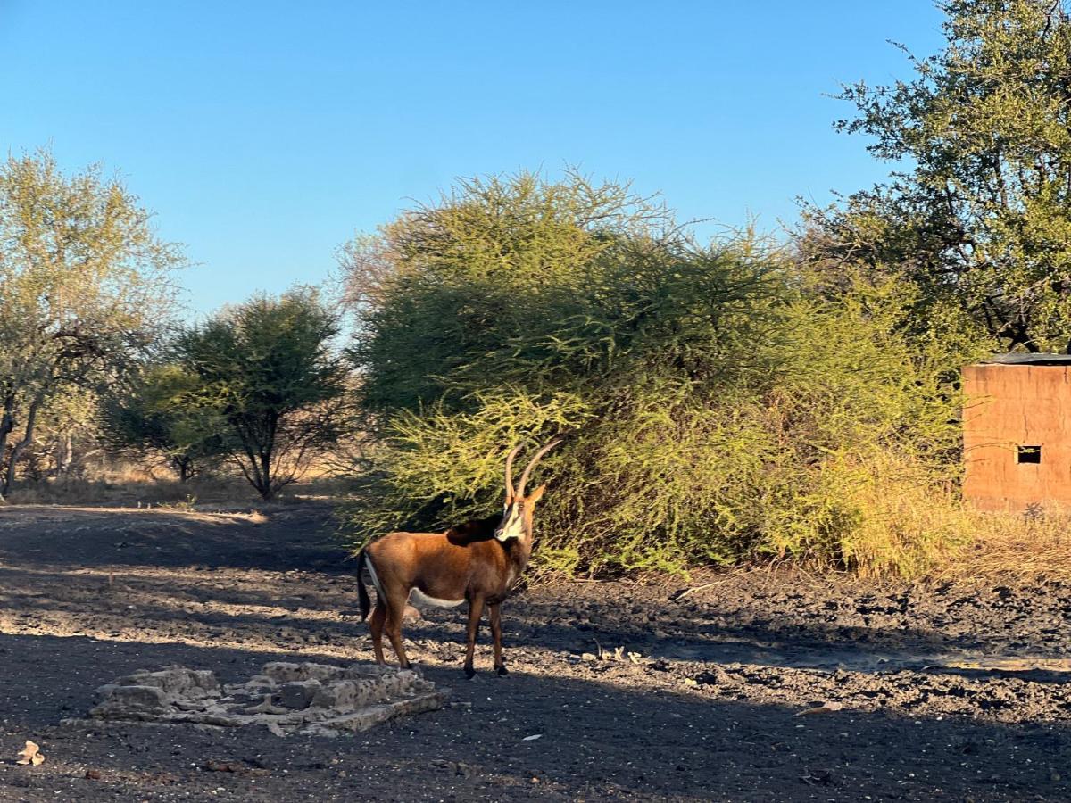 Simba Safaris African Pride Exotic Lodge Lephalale Dış mekan fotoğraf