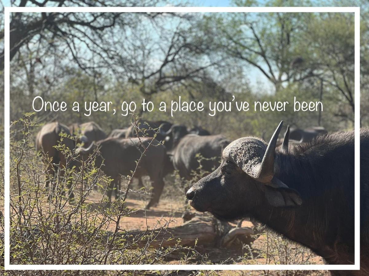 Simba Safaris African Pride Exotic Lodge Lephalale Dış mekan fotoğraf