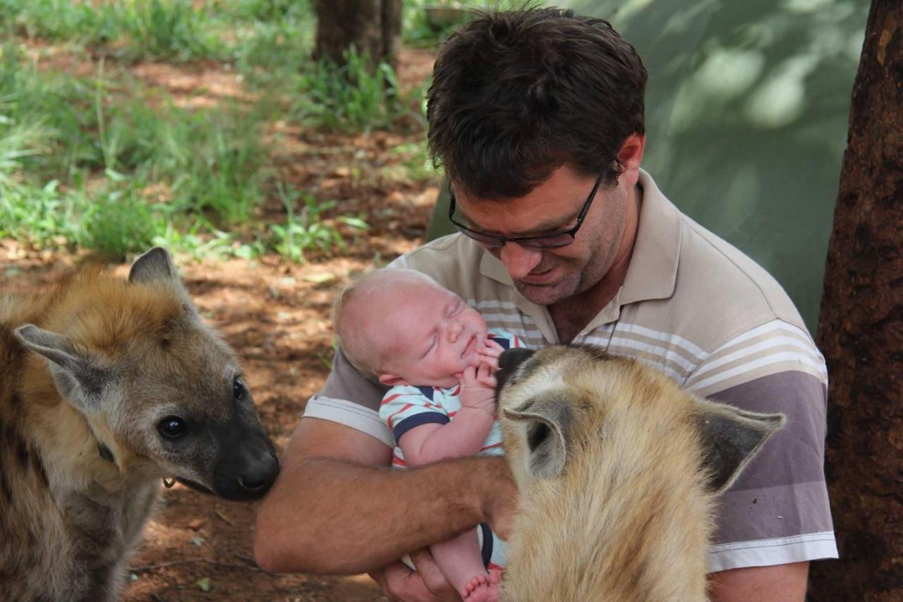 Simba Safaris African Pride Exotic Lodge Lephalale Dış mekan fotoğraf
