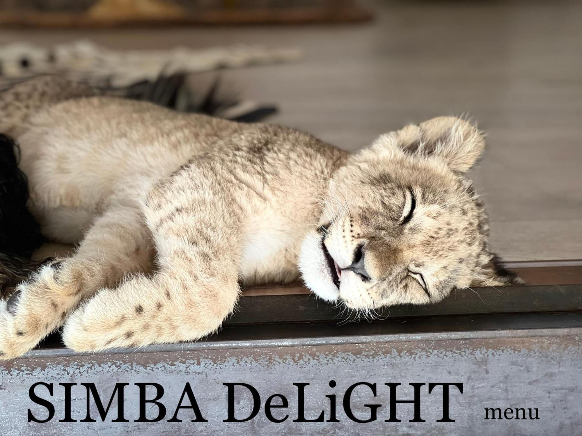 Simba Safaris African Pride Exotic Lodge Lephalale Dış mekan fotoğraf
