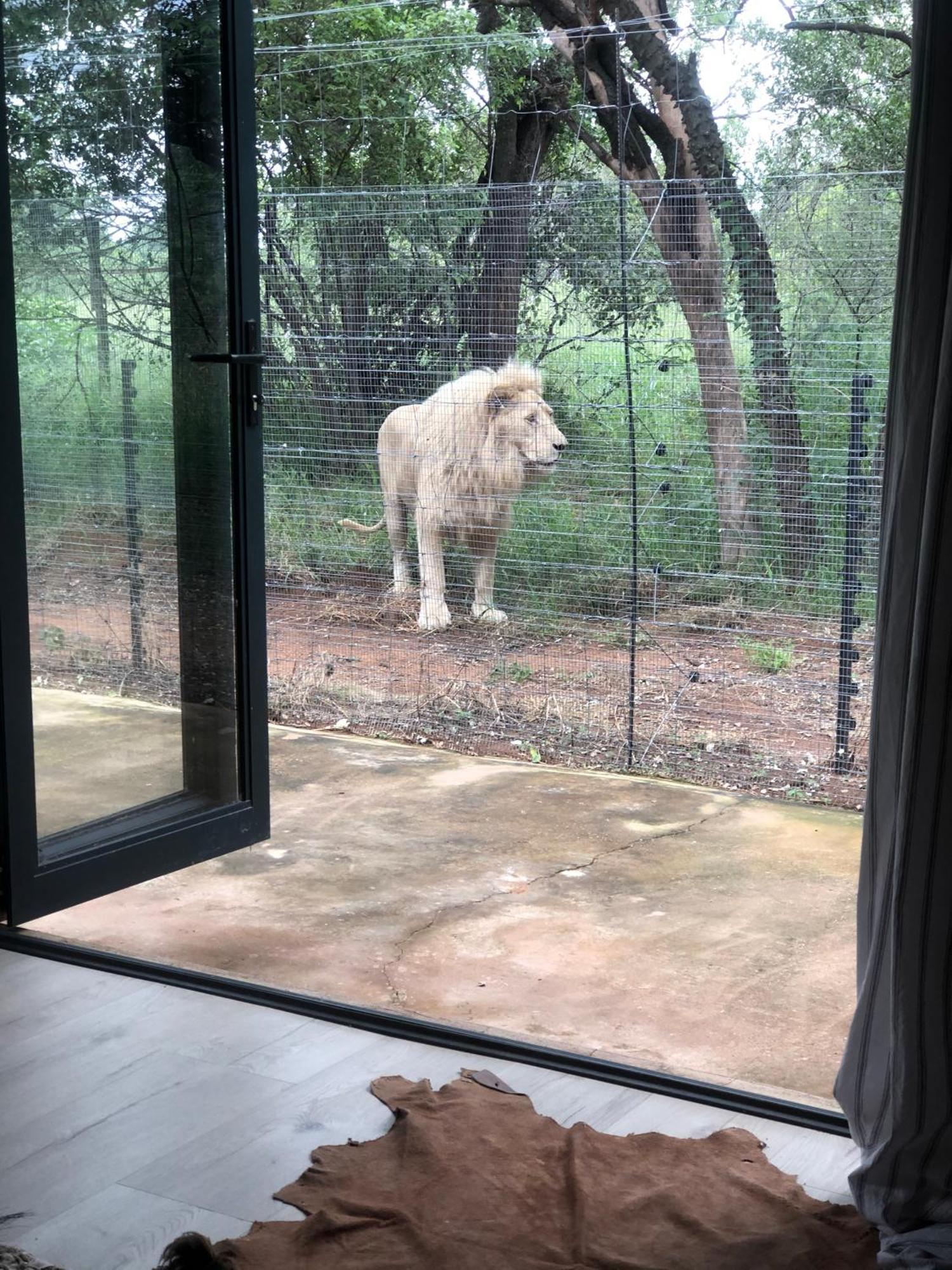 Simba Safaris African Pride Exotic Lodge Lephalale Dış mekan fotoğraf