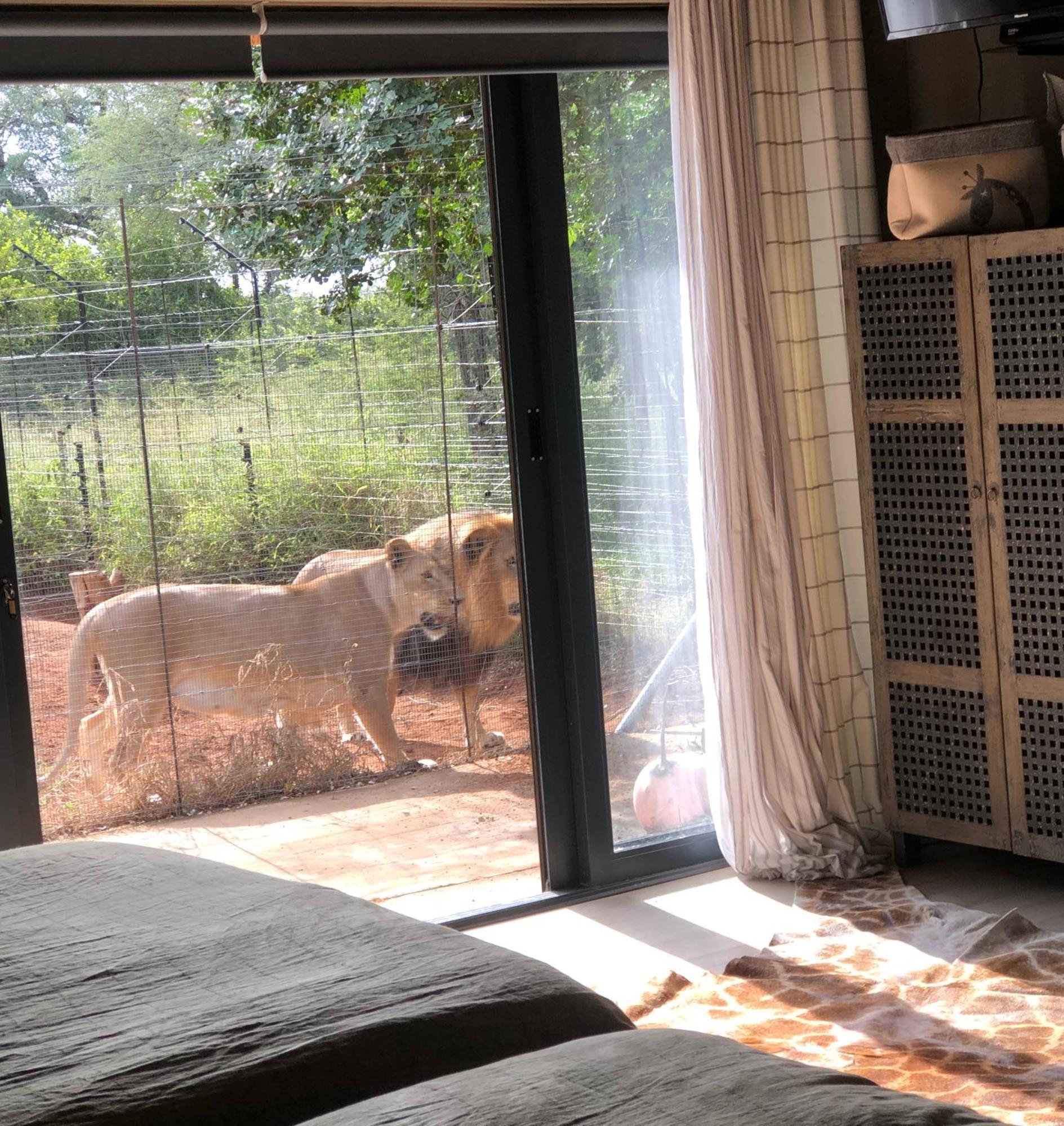 Simba Safaris African Pride Exotic Lodge Lephalale Dış mekan fotoğraf