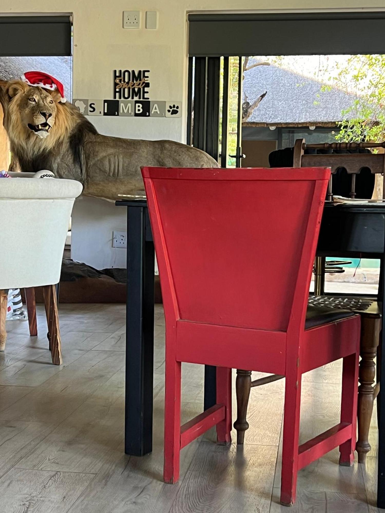 Simba Safaris African Pride Exotic Lodge Lephalale Dış mekan fotoğraf