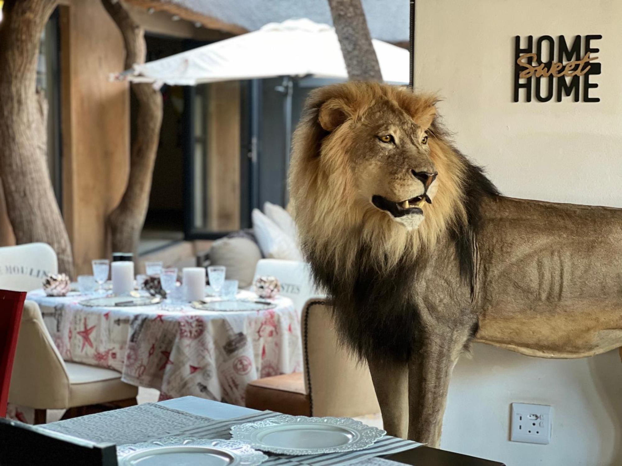Simba Safaris African Pride Exotic Lodge Lephalale Dış mekan fotoğraf