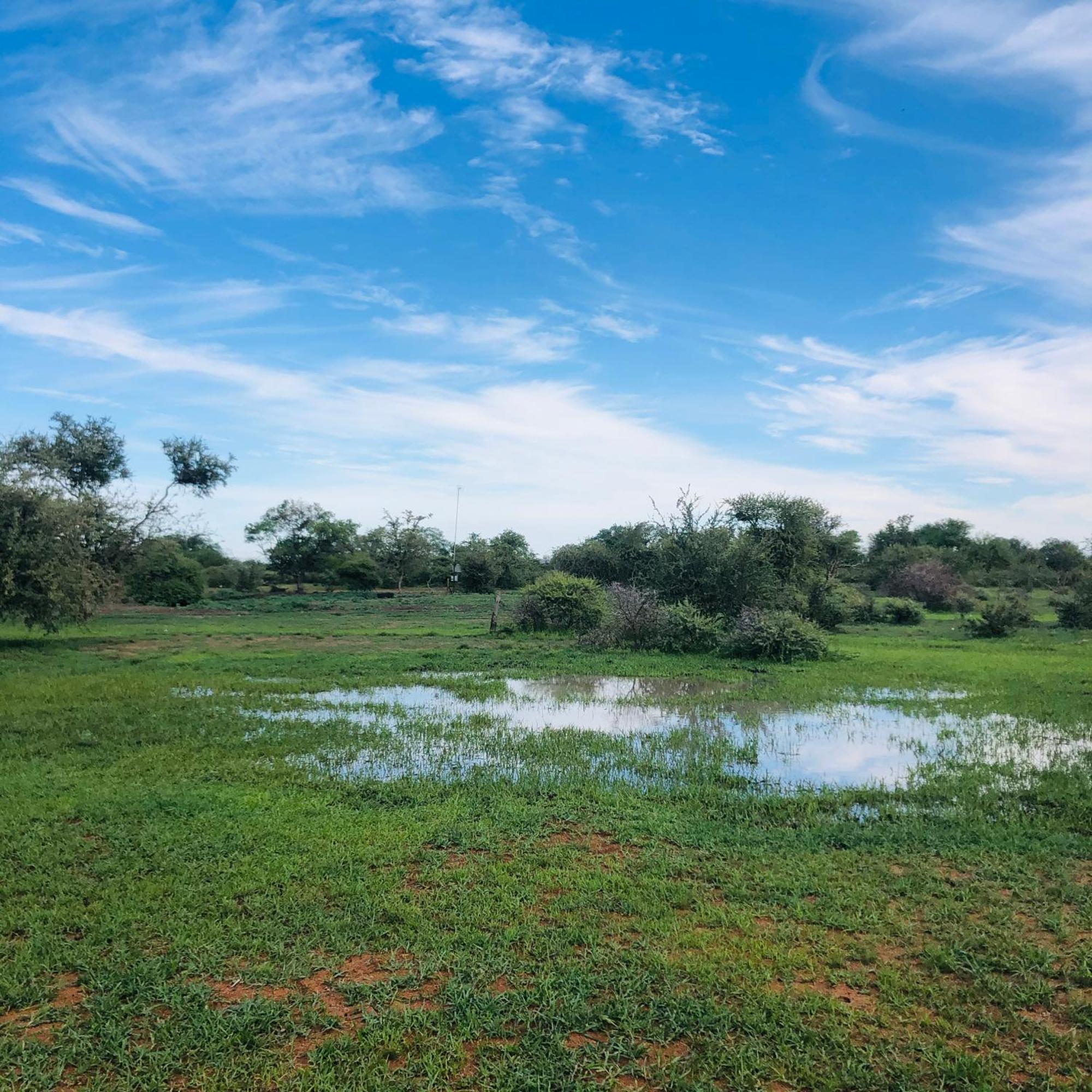 Simba Safaris African Pride Exotic Lodge Lephalale Dış mekan fotoğraf