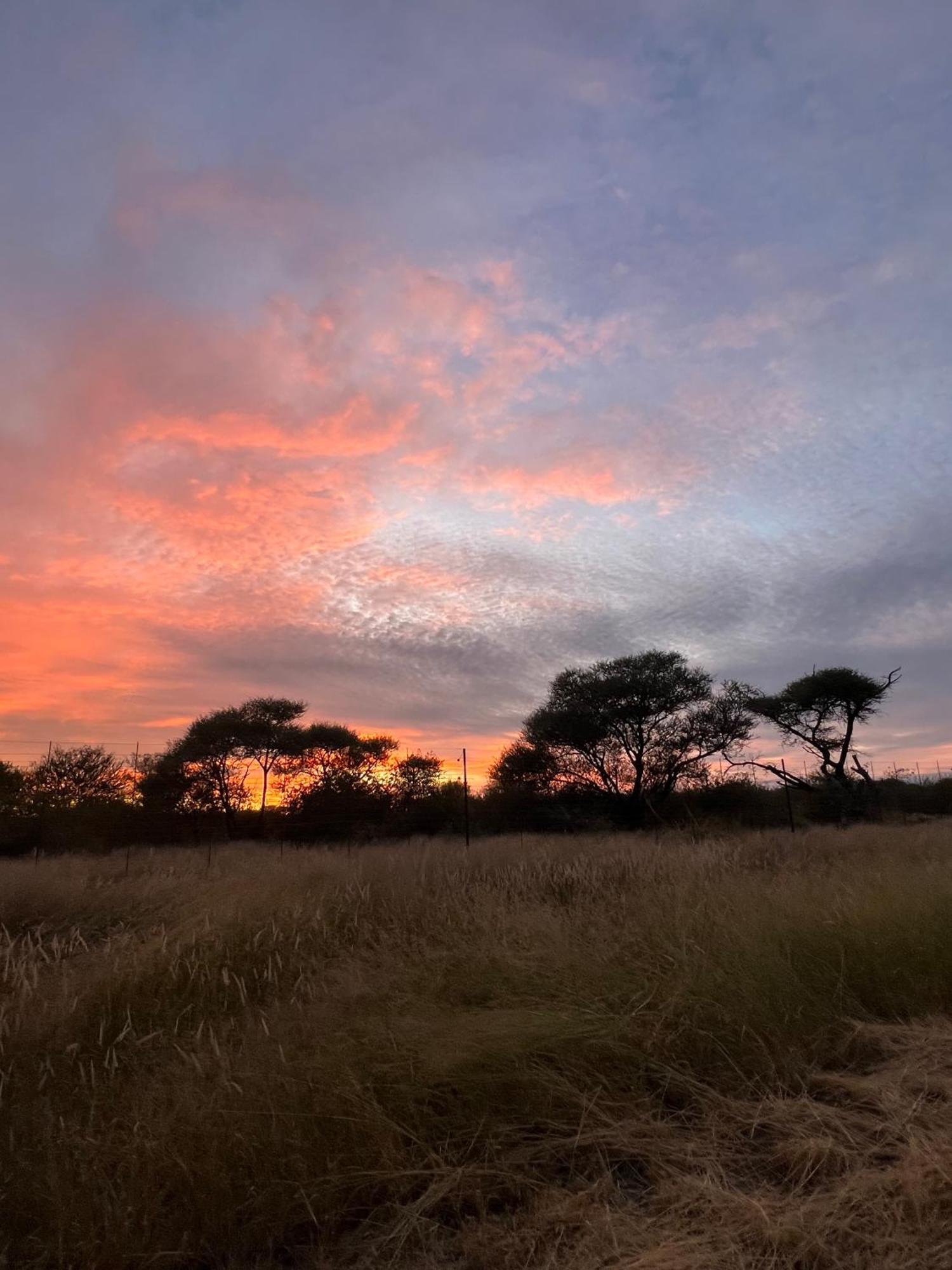 Simba Safaris African Pride Exotic Lodge Lephalale Dış mekan fotoğraf