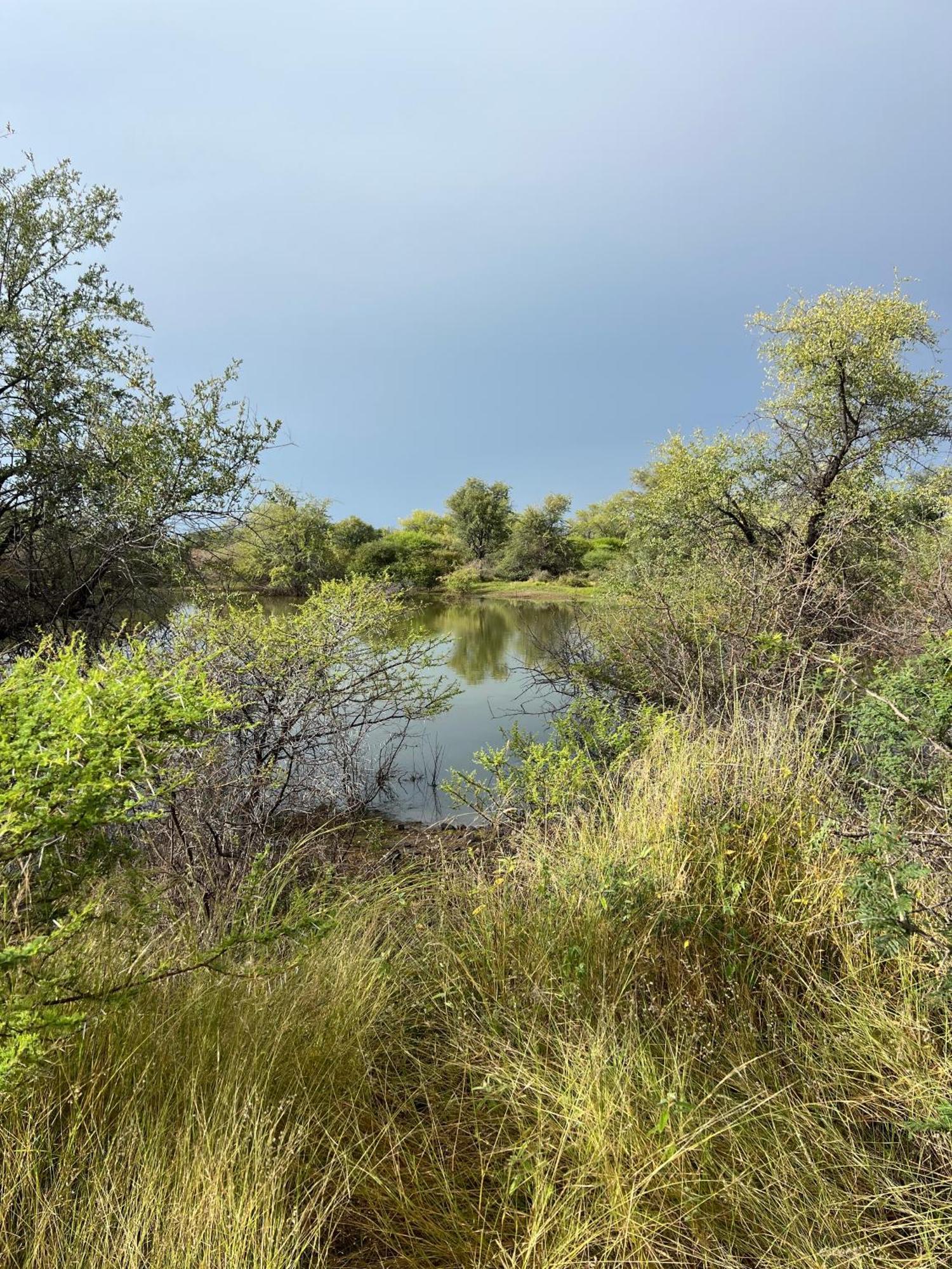 Simba Safaris African Pride Exotic Lodge Lephalale Dış mekan fotoğraf